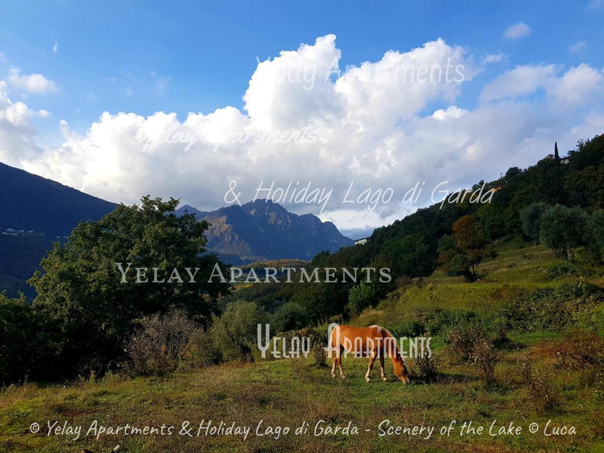 Yelay Apartments & Holiday Lago Di Garda Raffa المظهر الخارجي الصورة