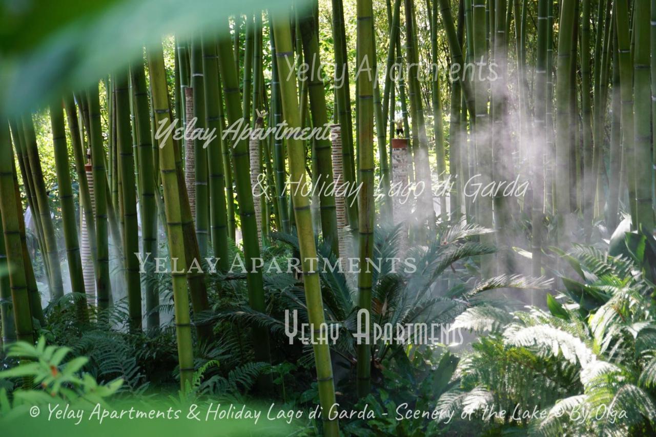 Yelay Apartments & Holiday Lago Di Garda Raffa المظهر الخارجي الصورة