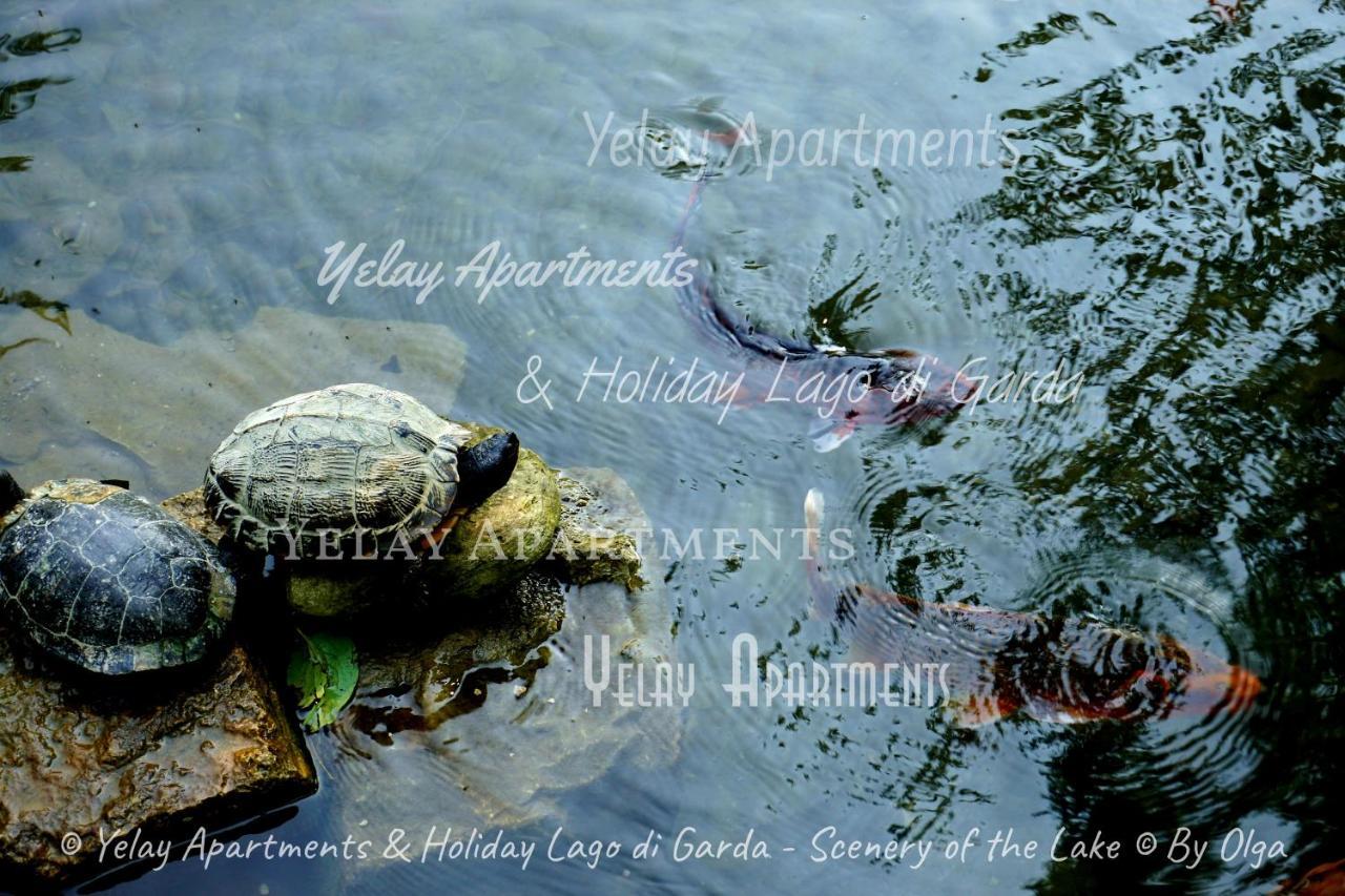 Yelay Apartments & Holiday Lago Di Garda Raffa المظهر الخارجي الصورة